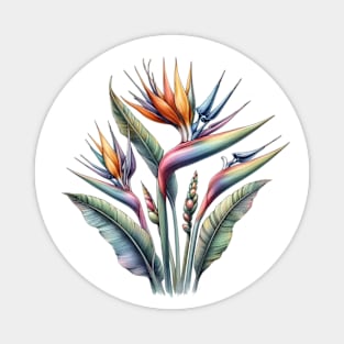 Bird of Paradise, Watercolor Botanical Magnet